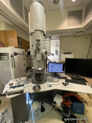 FEI TECNAI G2 POLARA TRANSMISSION ELECTRON MICROSCOPE 4022 260 6100 FP 5036/10