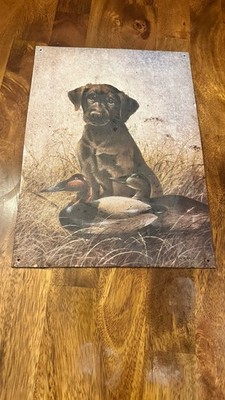Lynn Kaatz ''Decoy Dawn'' Black Lab Labrador Retriever Duck Hunt Metal Sign Art 