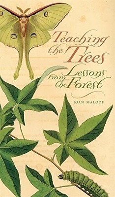 TEACHING THE TREES: LESSONS FROM THE FOREST By Joan Maloof *Excellent Condition*