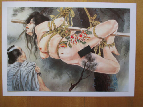 Bondage-Sklavin-BDSM-Shibari-Japan - B.-Nr.: 3509 - DIN A4