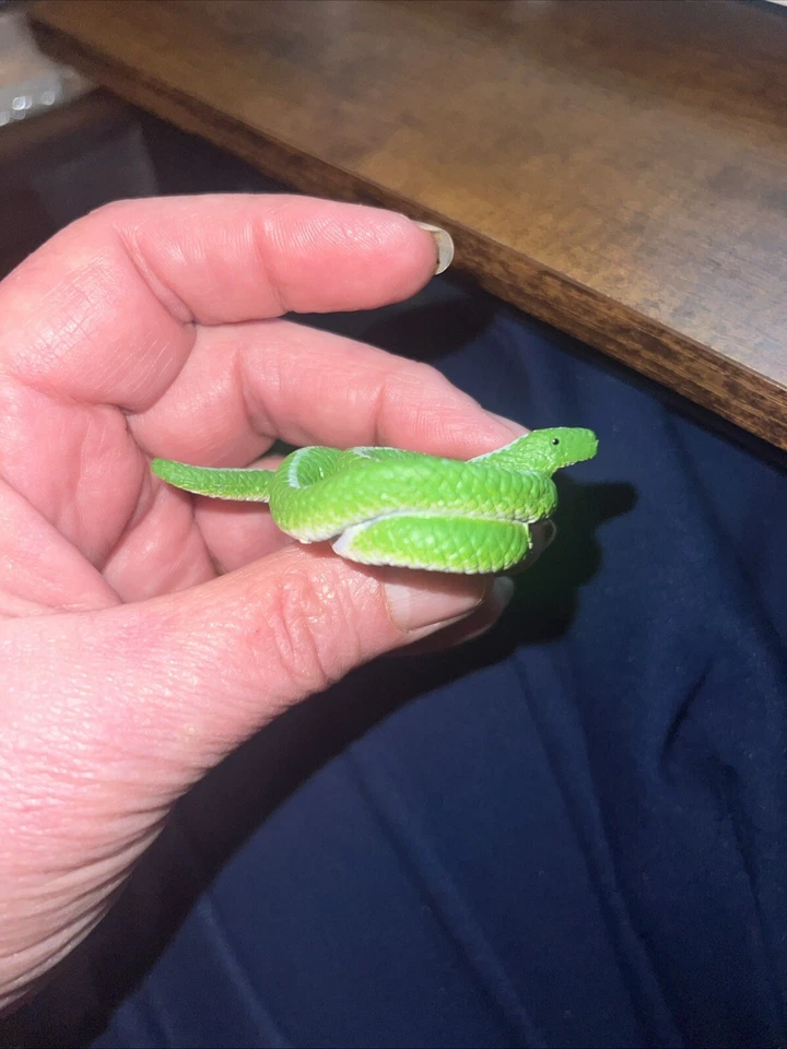 Wild Republic K&M Árbol Esmeralda Boa PVC Juguete Serpiente Verde Foto 4 de 4