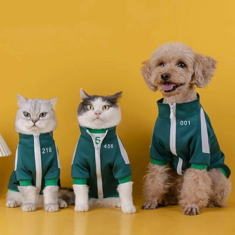 Tracksuit 2025 for cats