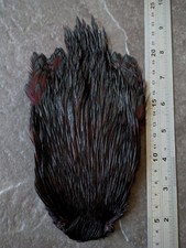 Black Claret Cock Cape - Irish Nymphs Wet Fly Tying Materials