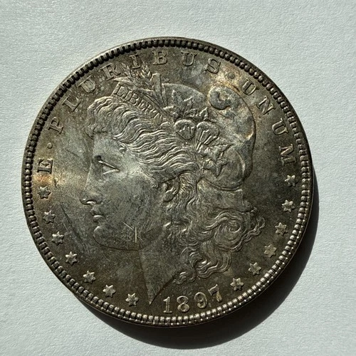1897 Morgan Silver Dollar  MS condition (toned) great detail