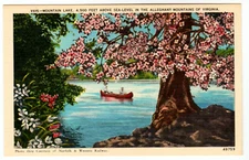 Postcard "Mountain Lake, 4,500' Above Sea-Level in the Alleghany Mtn. of VA"