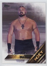 2016 Topps WWE Then Now Forever NXT Prospects Sawyer Fulton #12 0v7