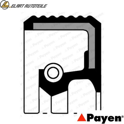 SHAFT SEAL DIFFERENTIAL NC048 FOR FORD L1V/L1T/FYDA/FYDH/FYDB/FYDD 1.6L KIA