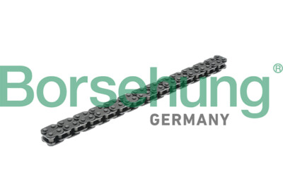 Borsehung B18228 Kette, Ölpumpenantrieb für AUDI,SEAT,SKODA,SKODA (SVW),VW