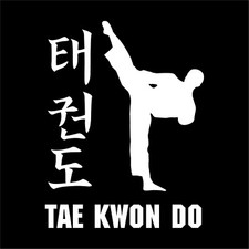 TaeKwonDo Vinyl Decal Car Window Laptop Tae Kwon Do Martial Arts Sticker