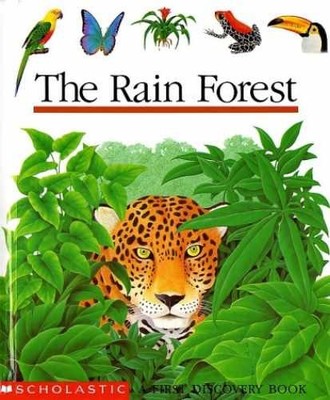 The Rain Forest - Spiral-bound, by Mettler Rene - Very Good