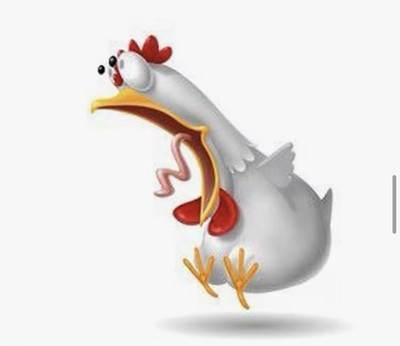 Verrücktes Huhn Transfer Bügelbild Wärmeübertragung auf Kleidung Textil