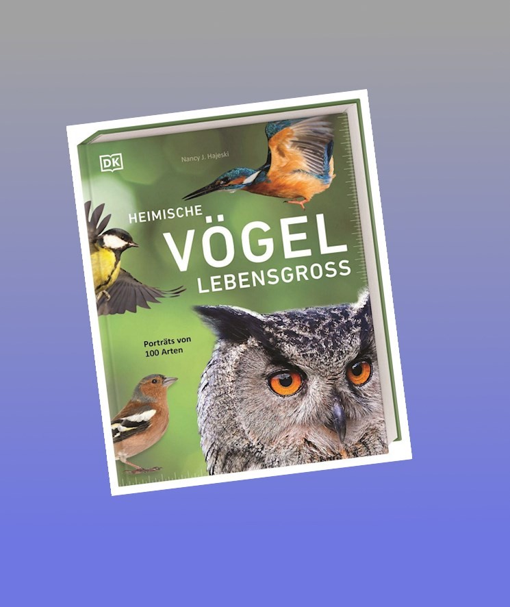 Dorling Kindersley Verlag Heimische Vögel Lebensgroß: Porträts Von 100 Arten. Umfassendes Vogel-Buch Mit Faszinierenden Fotos Von Vögeln In Originalgröße - Bild 2