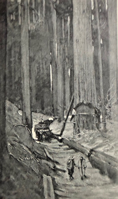 1903 Foresty Lumbering in the Northwest Cascade Mountains Puget Sound