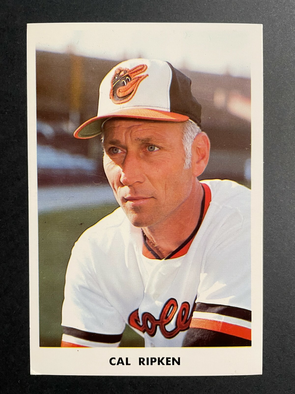 Cal Ripken Sr. Baltimore Orioles Team Issue Postcards - 2 - Blank Back ...