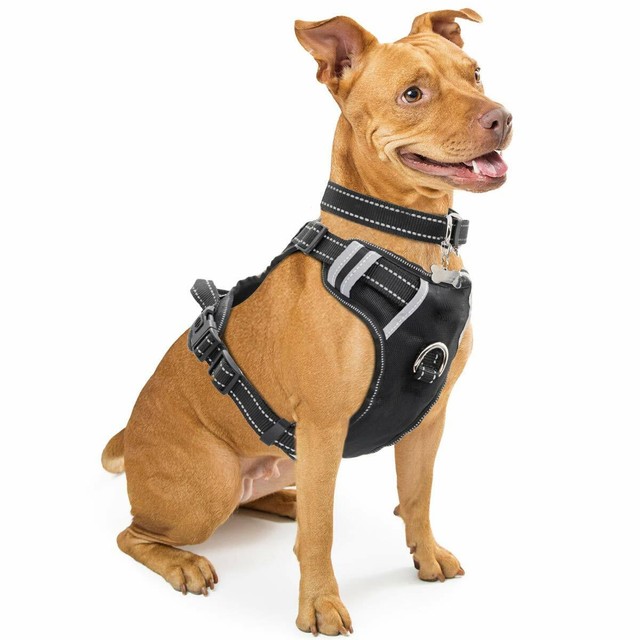 eagloo dog harness