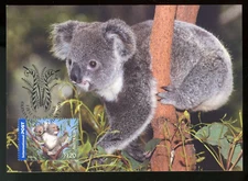 AUSTRALIAN WILDLIFE 2005 MAXIMUM CARD, KOALA !! DD77