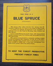 Vintage National Forest Service Paper Sign "Blue Spruce" USFS tree description
