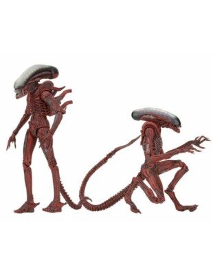 NECA ALIENS FIGUR GENOZID XENOMORPH 2ER PACK BIG CHAP & DOG ALIEN NEU