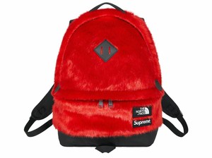 north face supreme leather backpack