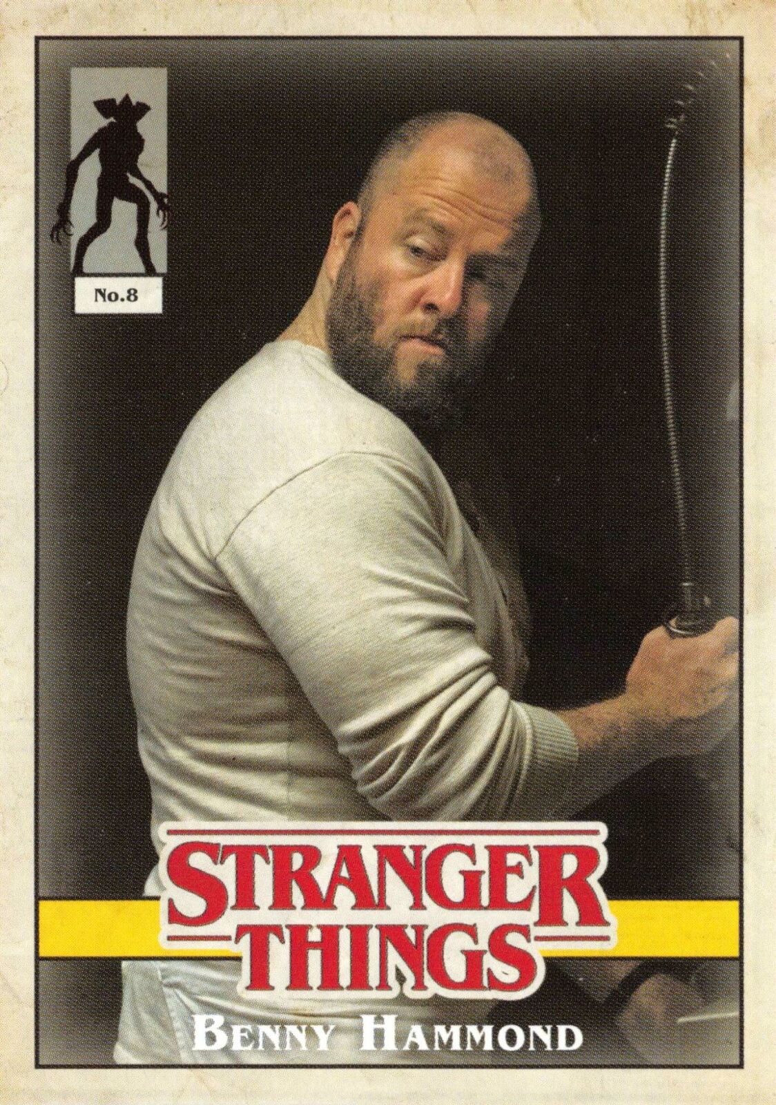 Stranger Things Welcome To The Upside Down CHARACTER Insert #9