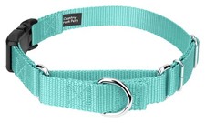 Country Brook Design Martingale Dog Collar - 1 Inch, Large, Light Cyan