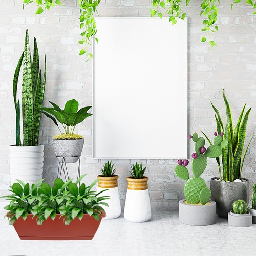 Maceta rectangular para plantar plantas lavabo balcón verduras 3 piezas - Imagen 6 de 12
