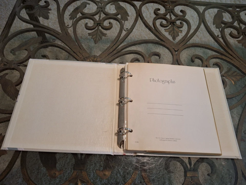 Vintage Romántico C.R. Álbum de fotos estilo victoriano Gibson Kathy Orr ~ 160 fotos Foto 3 de 4