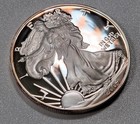 2004 W American Eagle One Ounce Silver Proof Coin, OGP COA — photo 3