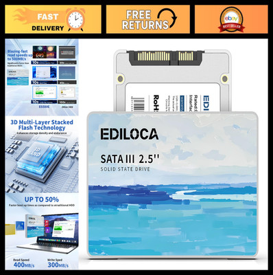 256GB SSD Internal Solid State Drive 2.5'' SATA III 6Gb/s, 400MB/s Read, Shockpro