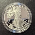 2022 American Silver Eagle Proof Coin 1 OZ $1