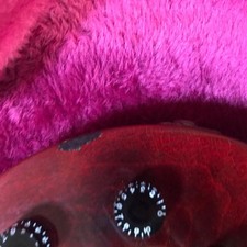 Les Paul Studio Image No.LG1827