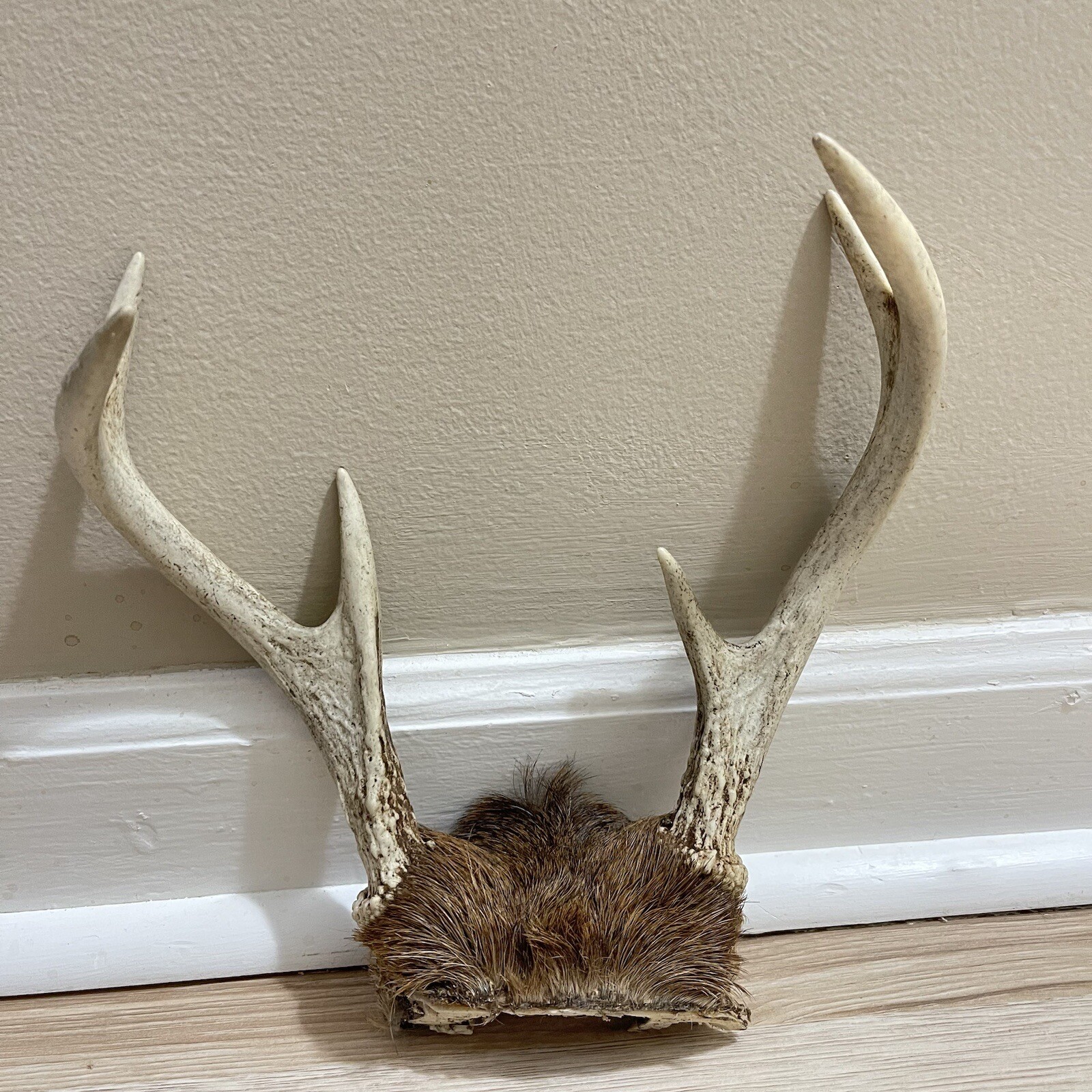 Picture 23 of 24