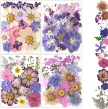80Pcs Pressed Flowers, Dried Flowers Natural Pressed Flowers Bulk for Resin Mold