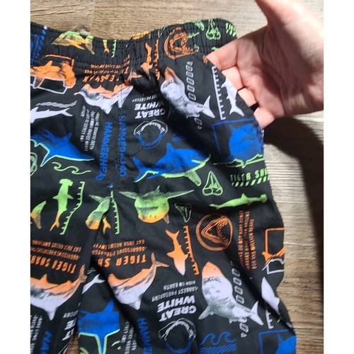 BOYS SZ 7 MULTI-COLOR SHARK OUTFIT BLUE ORANGE 3 PIECE SET SHARK WEEK VACATION - Picture 12 of 17