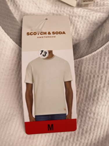 scotch and soda men Tees M Cream