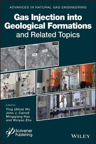 Gas Injection into Geological Formations and Related Topics b... - 9781119592068