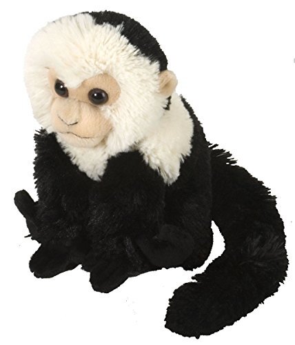 Wild Republic Scimmia Cappuccino, Cuddlekins Mini coccolone Peluche, (D1b)