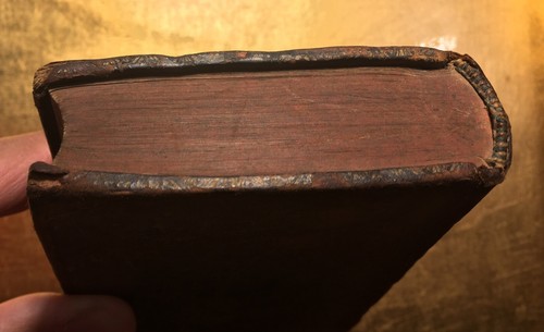 1727JULII CAESARIS COMMENTARIORUM DE BELLO GALLICO CESAR GUERRE DES GAULES LIVRE - Foto 23 di 24
