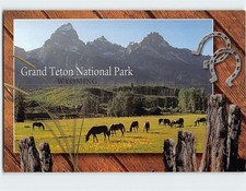 Postcard Grand Teton National Park Wyoming USA