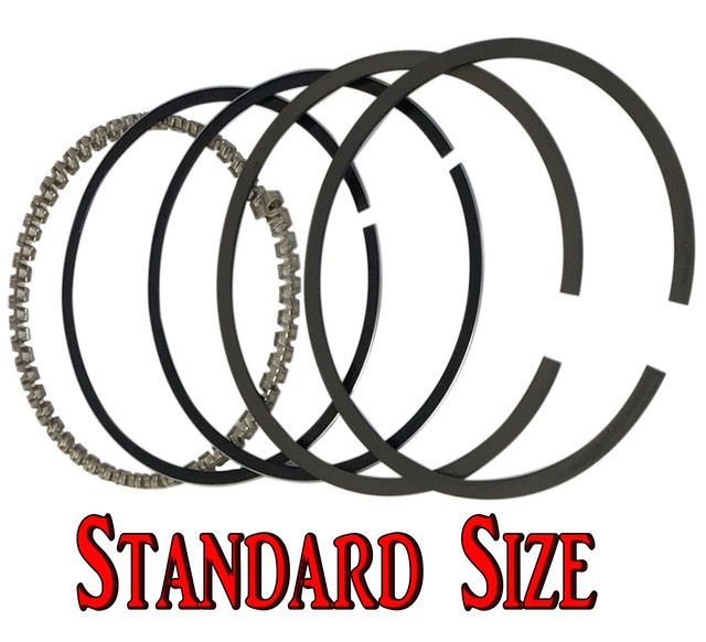 Set of Two Standard Piston Ring Sets HarleyDavidson Sportster Ironhead