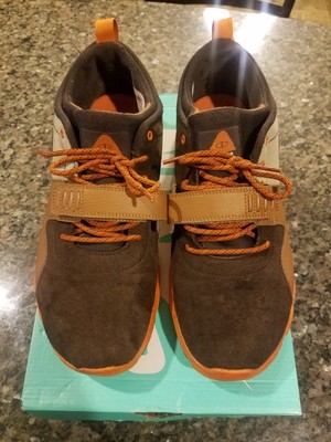 poler nike sb