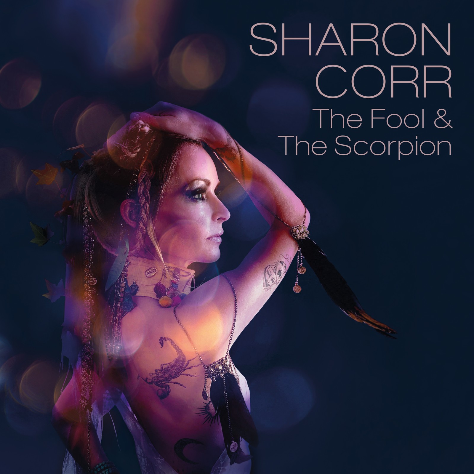 Альбом Sharon Corr The Fool & the Scorpion (винил) 12 (ИМПОРТИРОВАН из Великобритании)