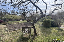 Kleingarten in Dassendorf. 500 m². Sofort verfügbar.