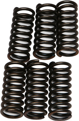 EBC Clutch Plates CSK Spring Kit for Triumph Sprint ST (1050cc) 05-09 CSK29