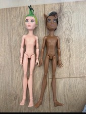 MONSTER HIGH CLAWD Clawdeen WOLF Doll Retired Rare Boy & girl Clothed dolls 