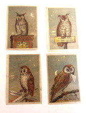 4 Trade cards for Owl Shirts Youngstown Ohio Featuring Owls