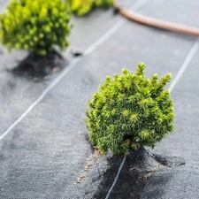 6ftx 300 ft Weed Barrier Garden Landscape Fabric Ground Cover Greenhouse Control