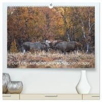 Der Elch - KöNig Der Skandinavischen WäLder (Hochwertiger Premium...