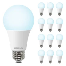 A19 Light Bulbs Daylight 5000K, 100 Watt Equivalent Bulbs, 1500 LM, 15000 Hou...