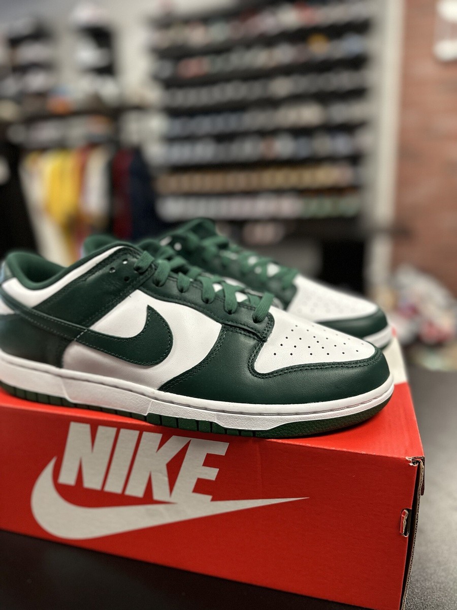 Size 11 - Nike Dunk Low 